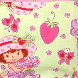 strawberry shortcake fabric detail