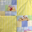 baby quilt detail